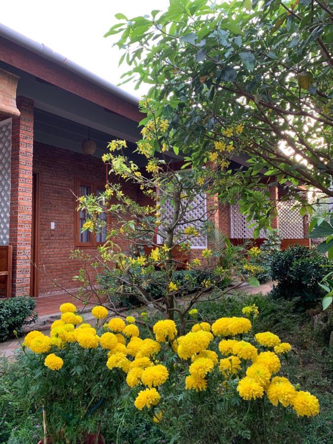 Sam Ong Lang Homestay Phú Quốc Ngoại thất bức ảnh